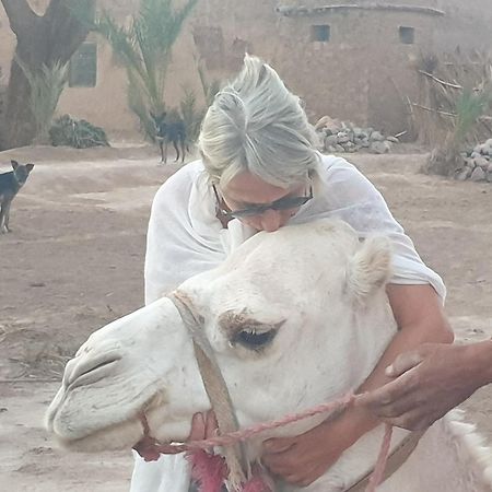 Gite Kasbah La Palmeraie Skoura Ngoại thất bức ảnh