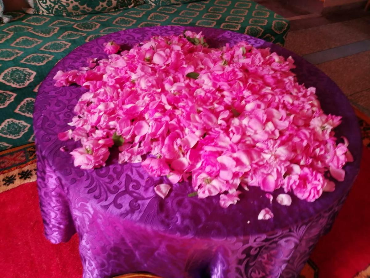 Gite Kasbah La Palmeraie Skoura Ngoại thất bức ảnh