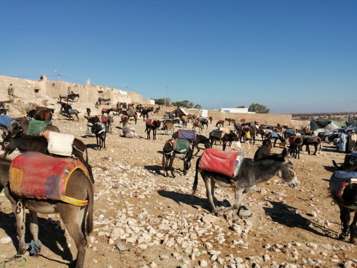 Gite Kasbah La Palmeraie Skoura Ngoại thất bức ảnh