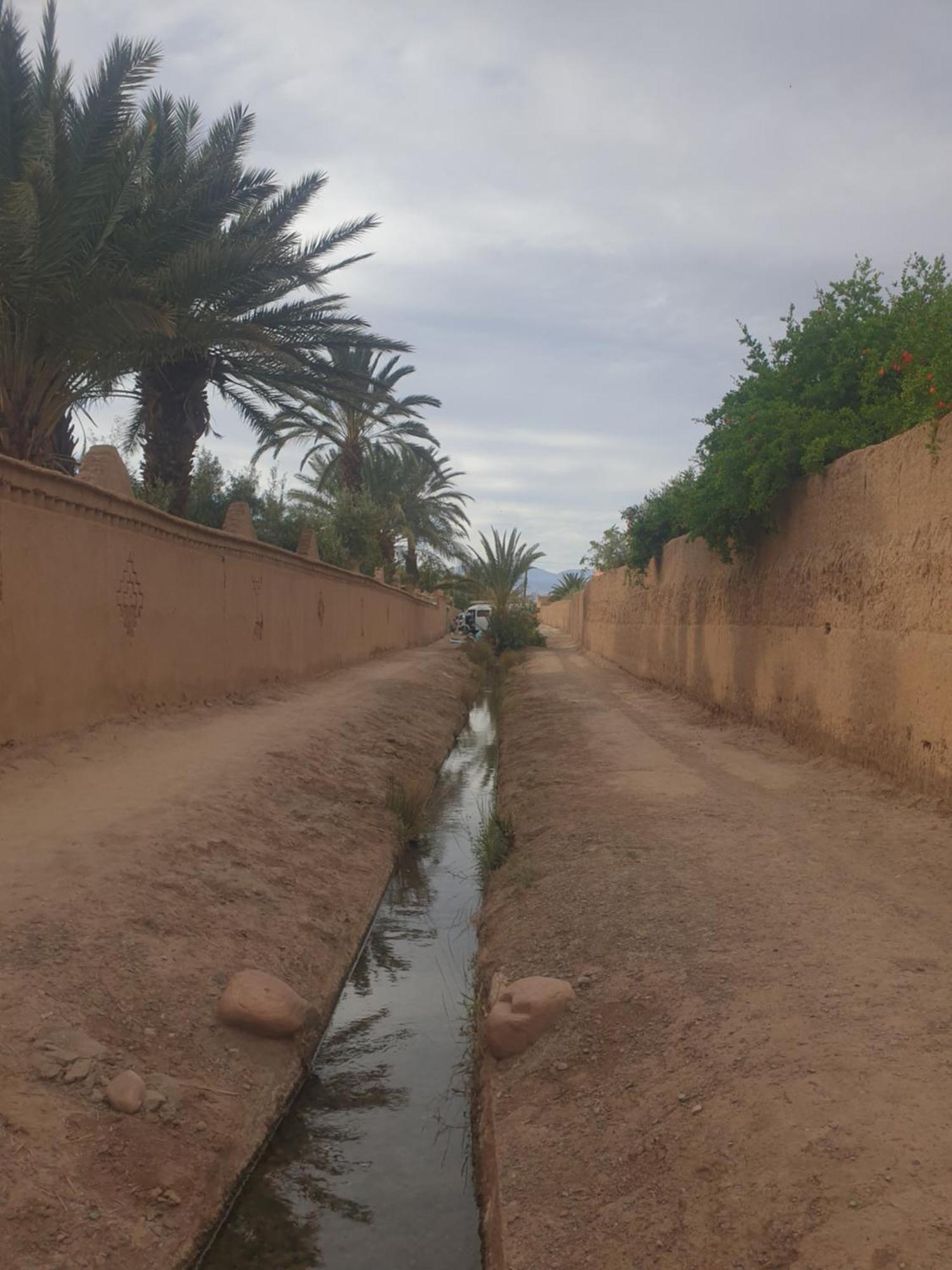 Gite Kasbah La Palmeraie Skoura Ngoại thất bức ảnh