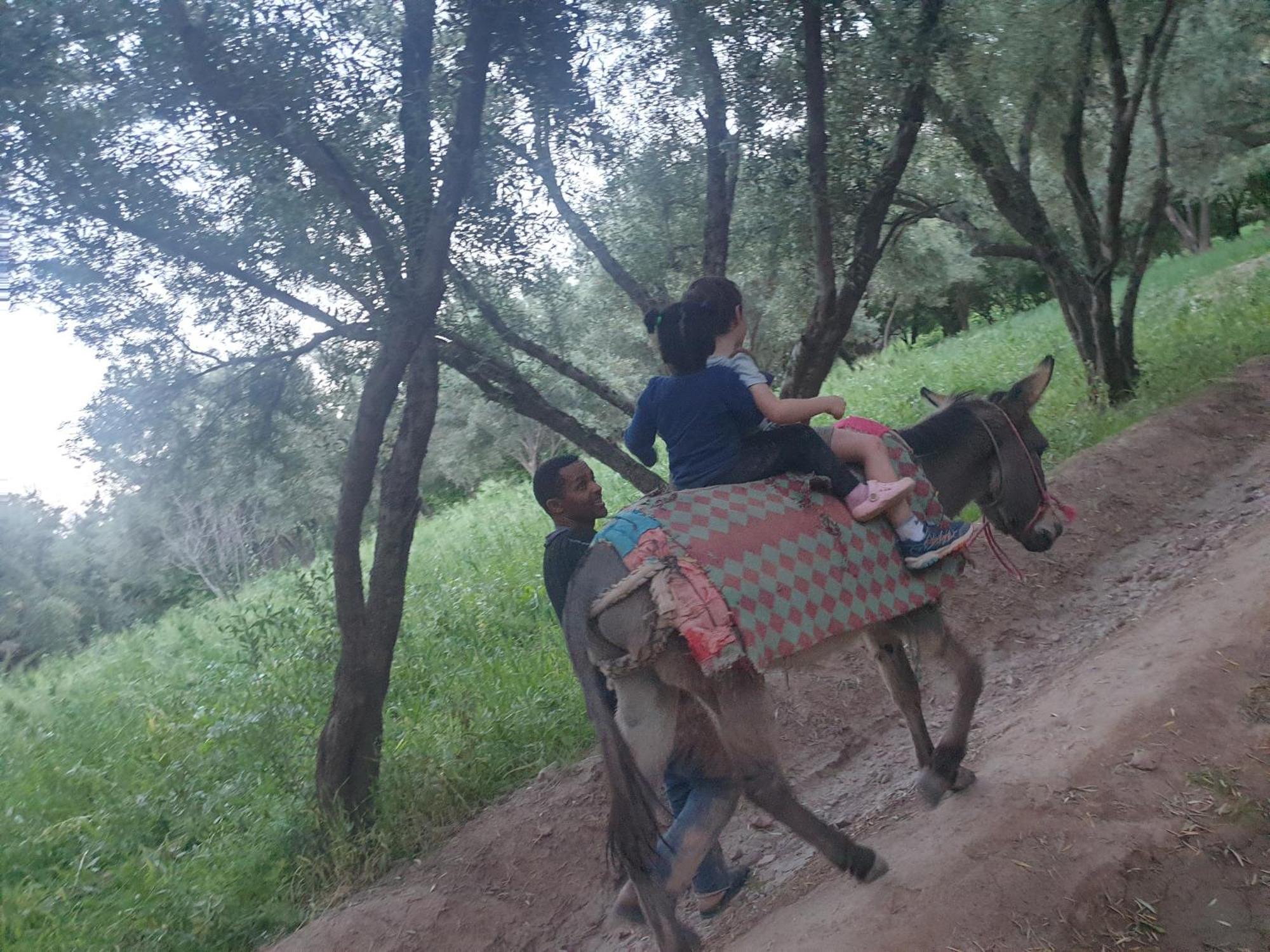Gite Kasbah La Palmeraie Skoura Ngoại thất bức ảnh