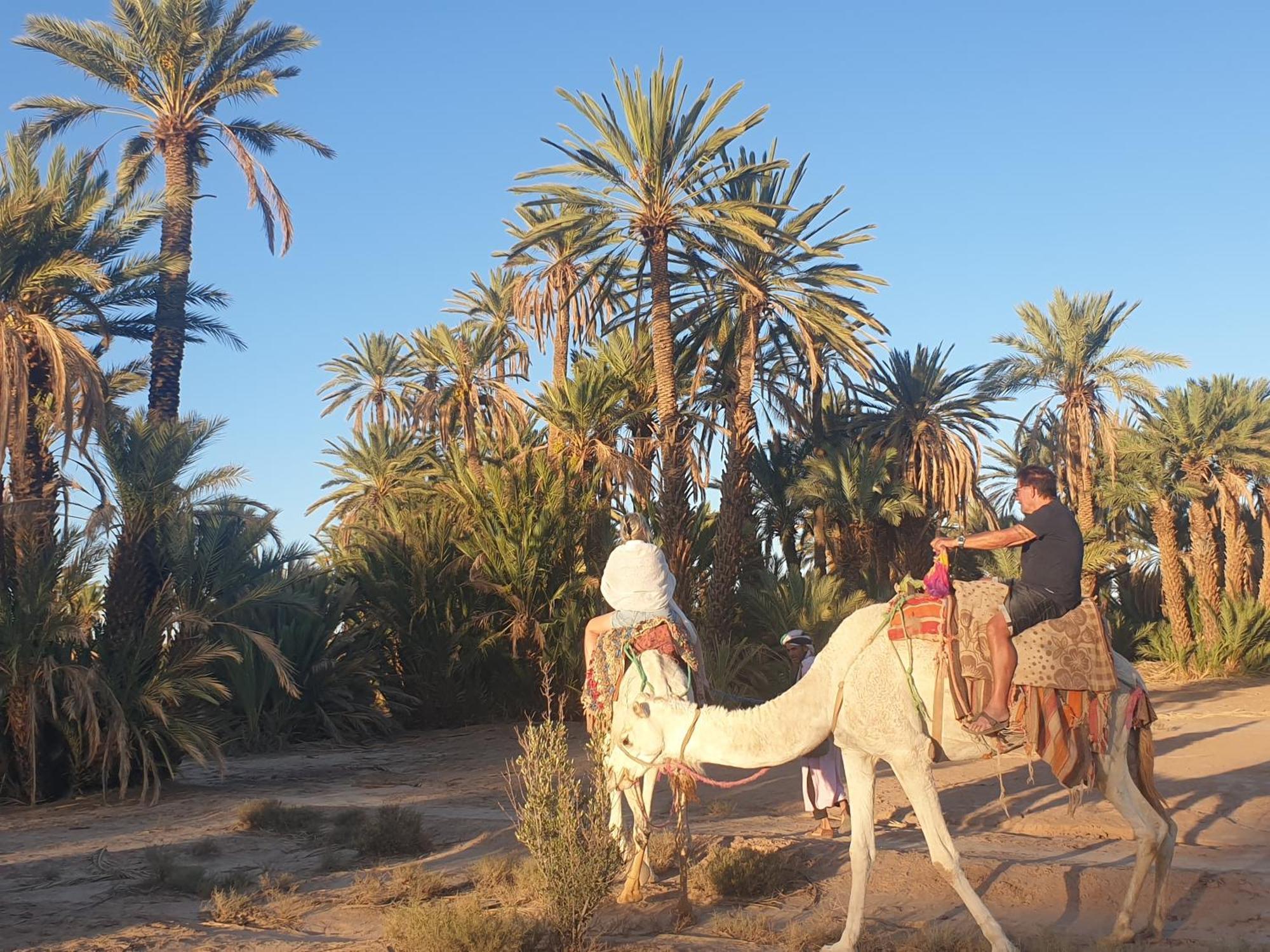 Gite Kasbah La Palmeraie Skoura Ngoại thất bức ảnh