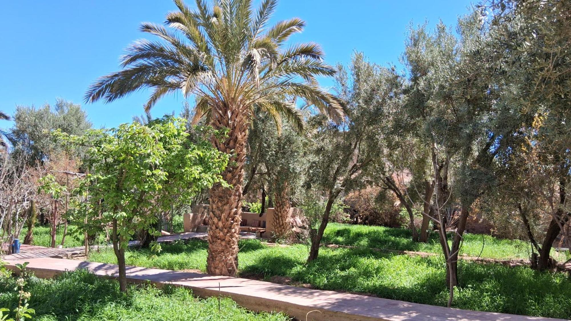 Gite Kasbah La Palmeraie Skoura Ngoại thất bức ảnh