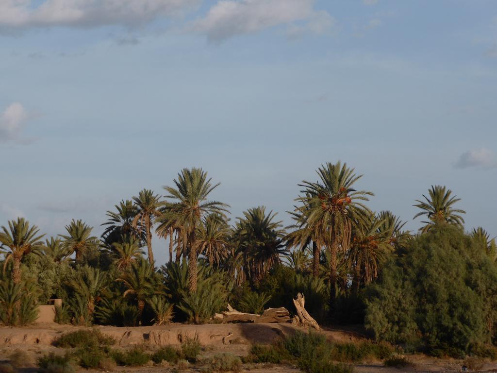 Gite Kasbah La Palmeraie Skoura Ngoại thất bức ảnh