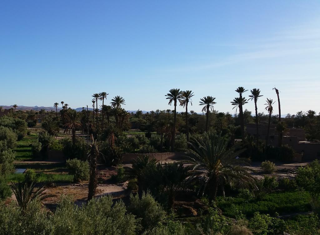 Gite Kasbah La Palmeraie Skoura Ngoại thất bức ảnh