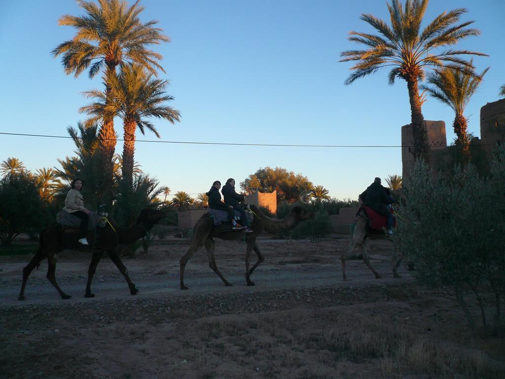 Gite Kasbah La Palmeraie Skoura Ngoại thất bức ảnh