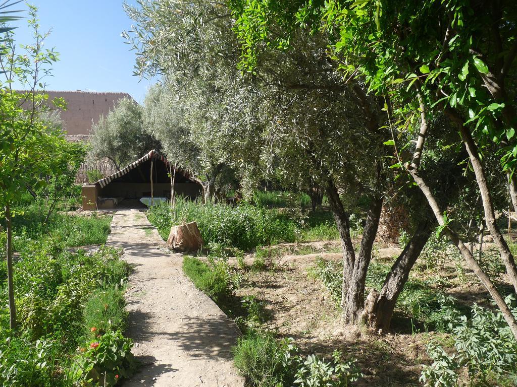 Gite Kasbah La Palmeraie Skoura Ngoại thất bức ảnh