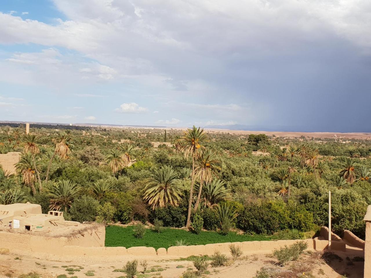 Gite Kasbah La Palmeraie Skoura Ngoại thất bức ảnh